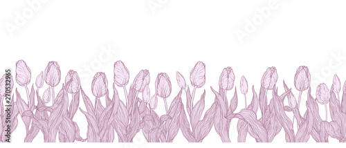 Horizontal graphic vector seamless line pattern with flowers