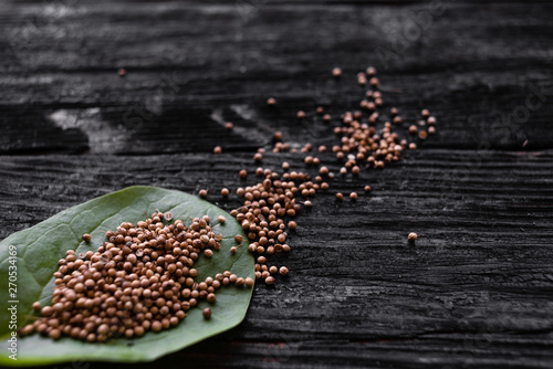 whole grains of fragrant coriander crumbles on a wooden table.