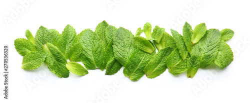Green mint leaves on white background