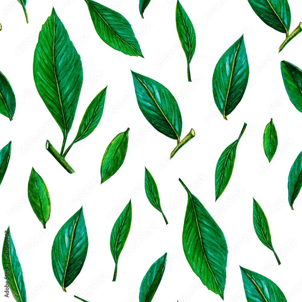 Seamless pattern of green leaves. citrus green leaves pattern on white background. Summer and juice background. painted watercolor illustration of fresh green leaves. Seamless pattern of green leaves. citrus green leaves pattern on white background. Summer and juice background. painted watercolor illustration of fresh green leaves.