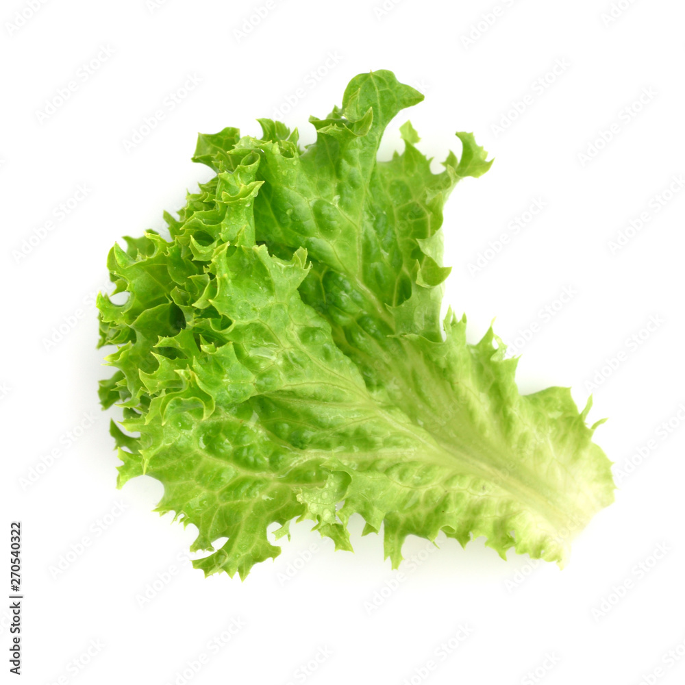 Salad leaf. Lettuce isolated on white background Salad leaf. Lettuce isolated on white background