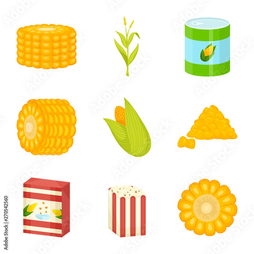 Vector design of maize and food logo. Collection of maize and crop vector icon for stock.