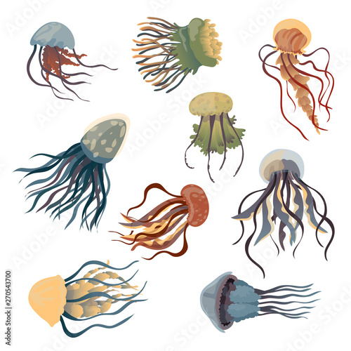 Set of multi-colored jellyfish. Vector illustration on white background.