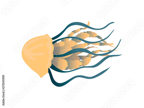 Yellow jellyfish with thick tentacles close-up. Vector illustration on white background.