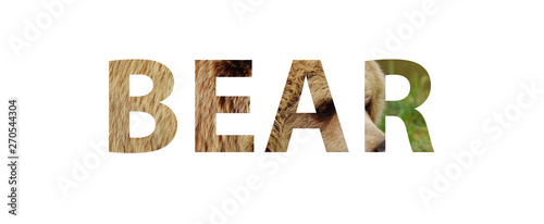 Obraz na płótnie The word BEAR with a photo of bear skin inside the letters