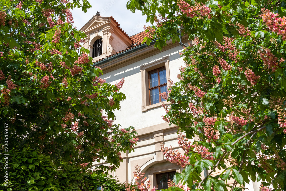 Spring view of Prague Valdštejnská zahrada Valdsheinsky Gardens / Prague, Chech Republic, May 2019
