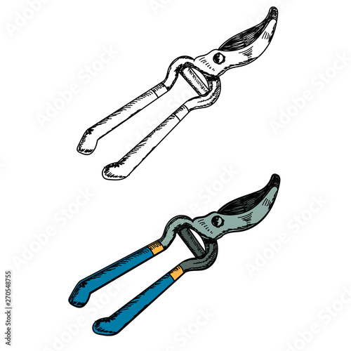 isolated, garden tools, pruning shears, brush cutter