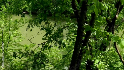 Serene tree-lined river in springtime photo