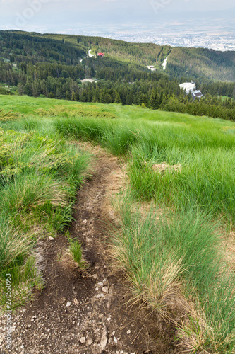 Amazing Summer Landscape of Vitosha Mountain, Sofia City Region, Bulgaria