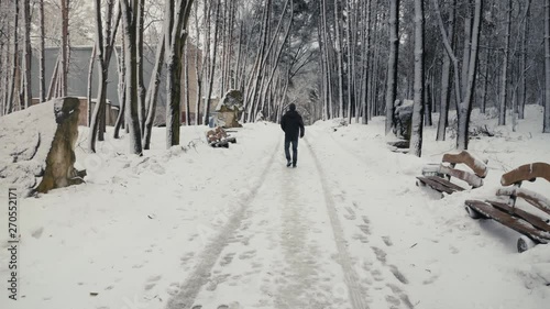 walking in winter forest