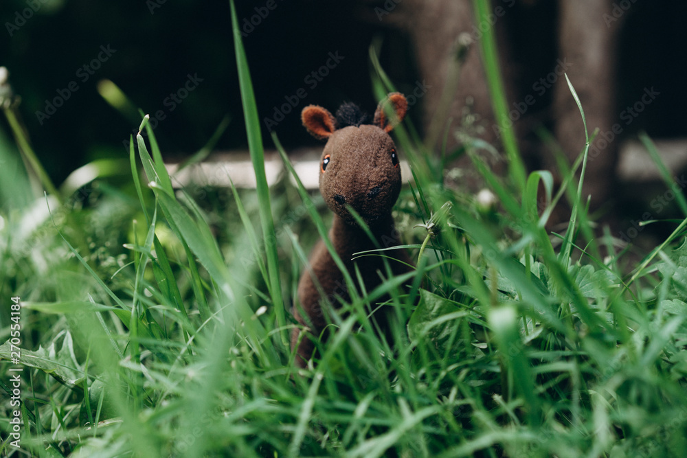 plush toy horse grazing in the grass plush toy horse grazing in the grass