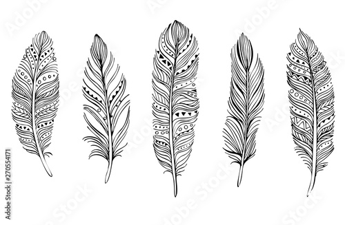 feathers on white background. Boho style. Isolated feathers on white background. Illustrations for cards, invitations, posters, fabrics, clothes.
