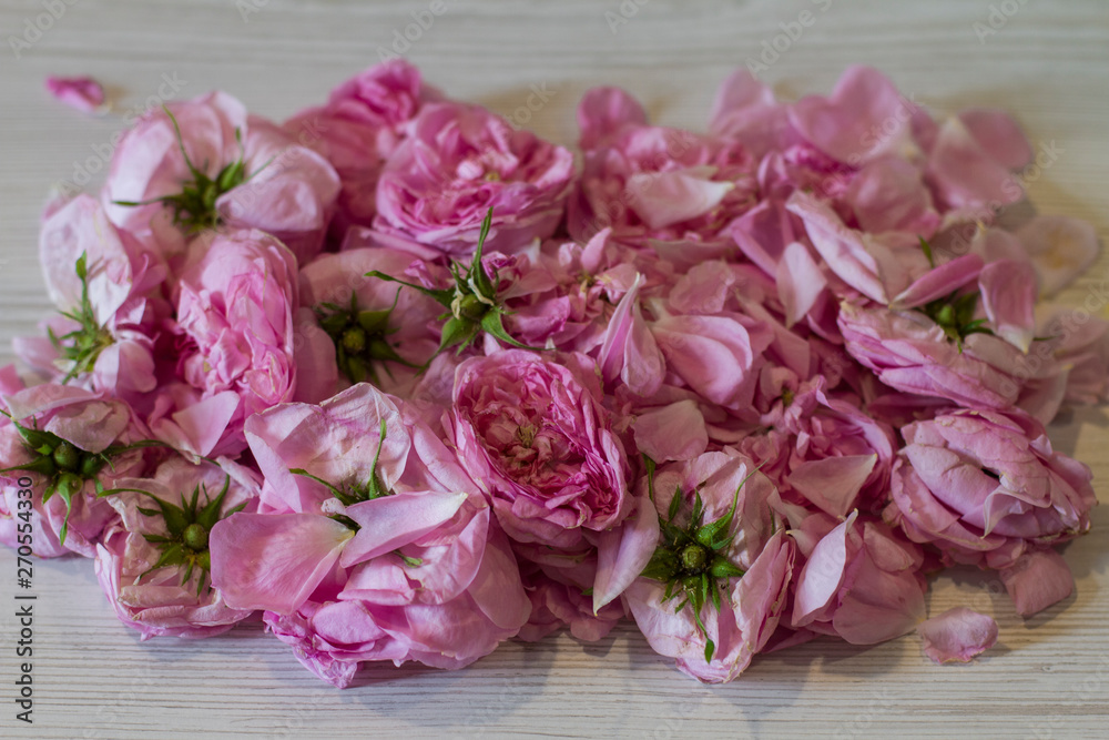 dry tea rose pink flowers on wooden