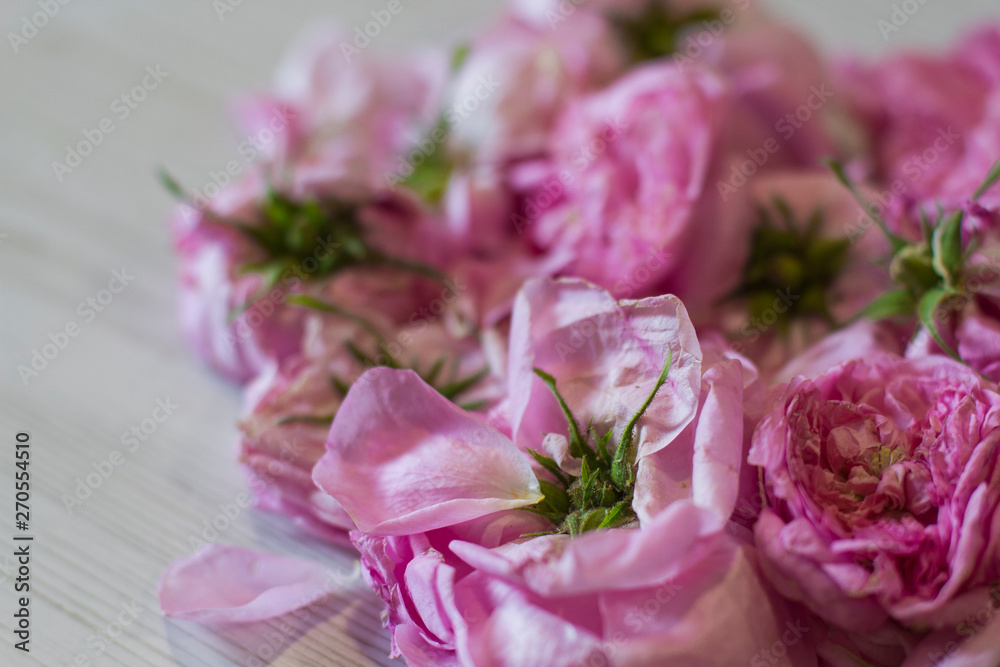 dry tea rose pink flowers on wooden dry tea rose pink flowers on wooden