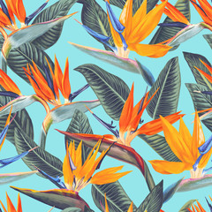 Fototapete Tropische Paradiesblumen-Muster Strelitzia Reginae Blüten Nahtloses Muster  © MPetrovska