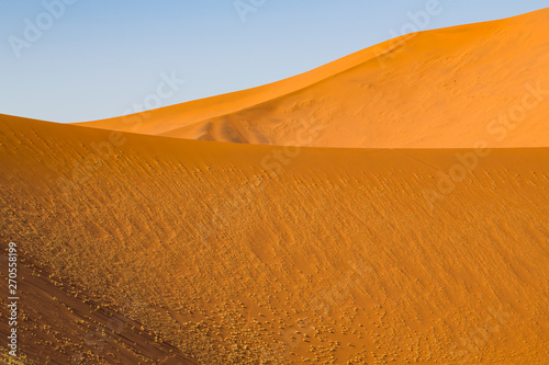 structured dunes of Namib desert, blue sky