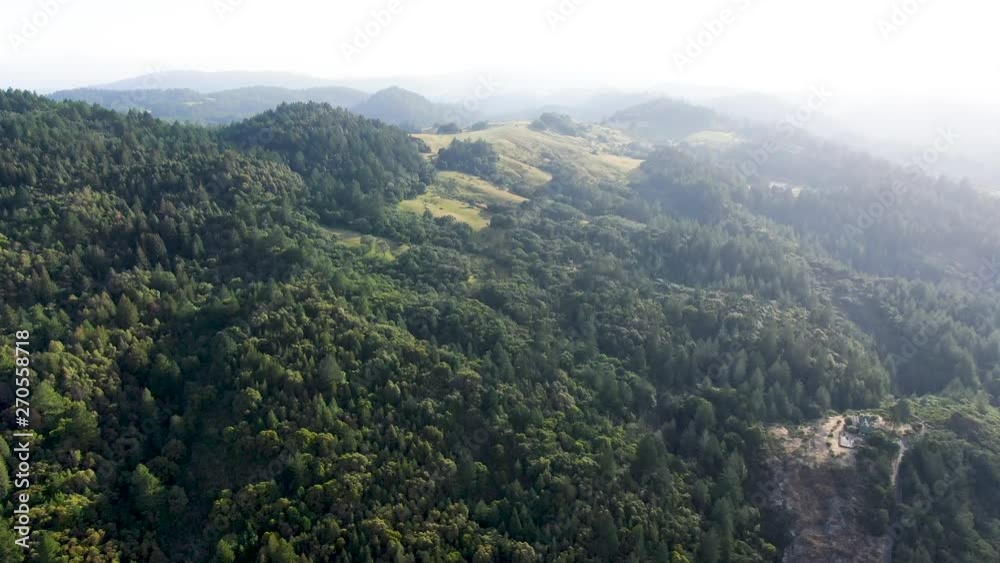 Aerial view of the verdant hills with trees in Napa Valley during summer season. Napa County, in California’s Wine Country, Part of the North Bay region of the San Francisco Bay Area. Vineyard area. Aerial view of the verdant hills with trees in Napa Valley during summer season. Napa County, in California’s Wine Country, Part of the North Bay region of the San Francisco Bay Area. Vineyard area.