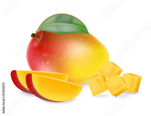 Mango fruit and slices isolated Vector realistic. Detailed elements design. 3...