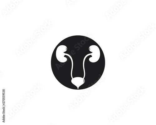 Renal system vector icon illustration design 