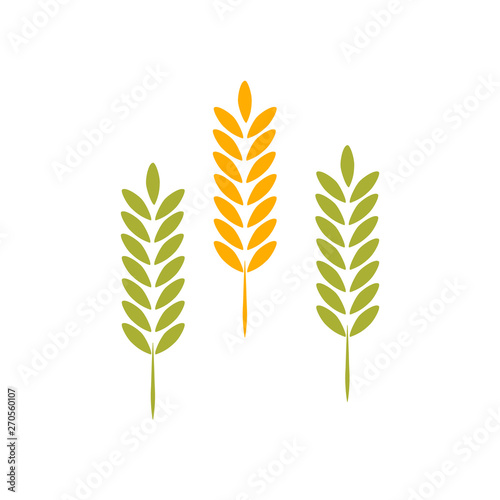 Agriculture wheat Logo Template vector icon