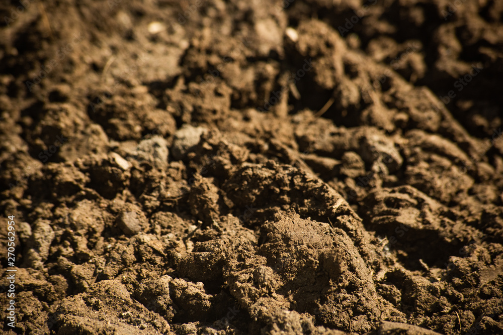 Clods of brown ground, soft focus