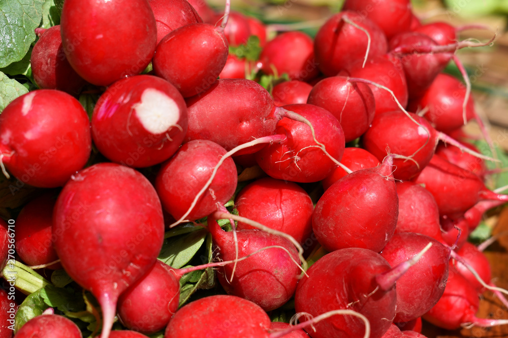 Pile of fresh red radish at the market Pile of fresh red radish at the market