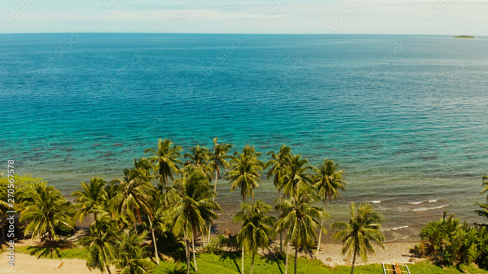 Landscape with coconut trees and turquoise lagoon, view from above. Seascape with palm trees and a pebbly beach, Philippines, Camiguin,aerial view.