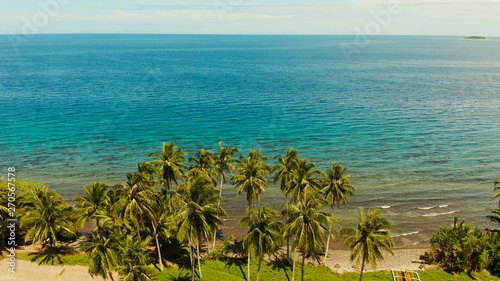 Landscape with coconut trees and turquoise lagoon, view from above. Seascape with palm trees and a pebbly beach, Philippines, Camiguin,aerial view. © Alex Traveler