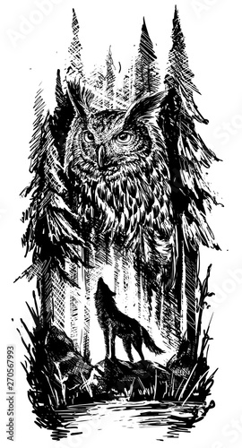 Graficzna czarno-biała sylwetka wyjącego wilka stojącego na kamieniu z dużą sową w lesie. Styl linii. Tło krajobraz natura wektor.