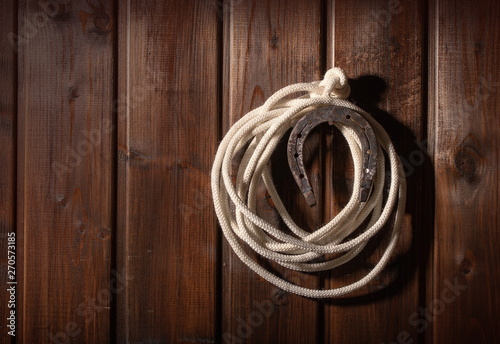 Fotografia horseshoe and lasso