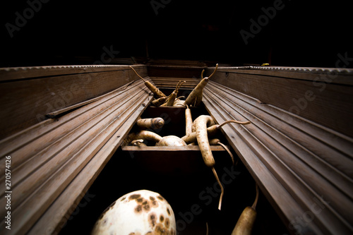 image of an old gourd