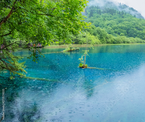 Jiuzhaigou scenery, China - June 15, 2017: this is located in China's jiuzhaigou scenic area, a famous tourist destination in China.Most of it is pristine.The color of the lake is the color of nature.