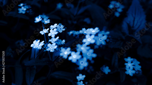 Floral background in neon c...