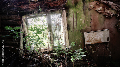 Nature takes over old, abandoned farm house in Southern Finland. 