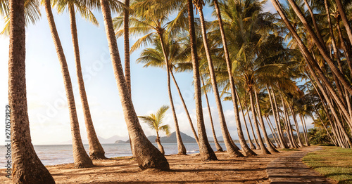 Fototapeta Naklejka Na Ścianę i Meble -  Panoramic view of an empty tropical beach at the sunrise with copy space
