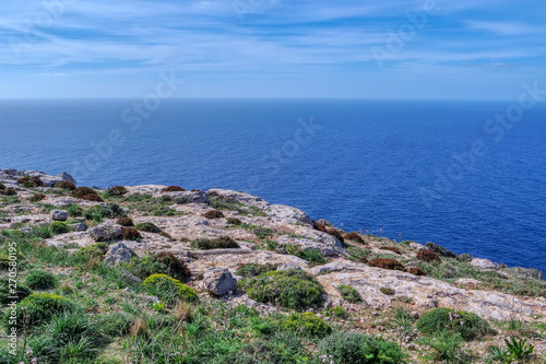 Obraz na płótnie Small gardens on Dingli Cliffs and Mediterranean Sea, Malta w salonie