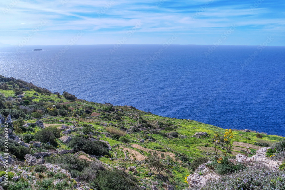 Rocks with green near coast in Dingli, Malta