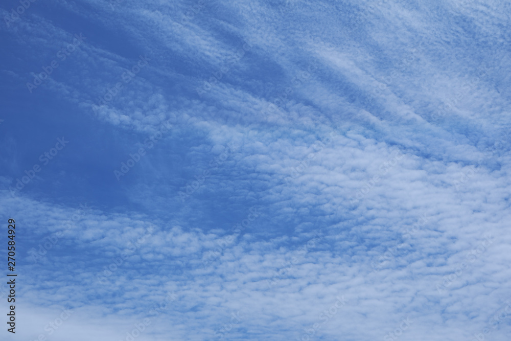 Fototapeta premium 青空