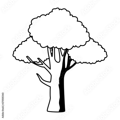 leafy and black and white tree icon photo