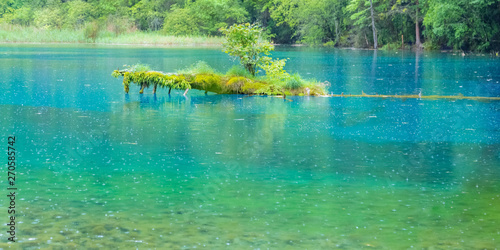 Fototapeta Naklejka Na Ścianę i Meble -  Jiuzhaigou lake and forest trees。 jiuzhaigou is a famous natural scenic spot in China.There are thick forests and vegetation.There are also distinctive lakes, mostly surrounded by mountains