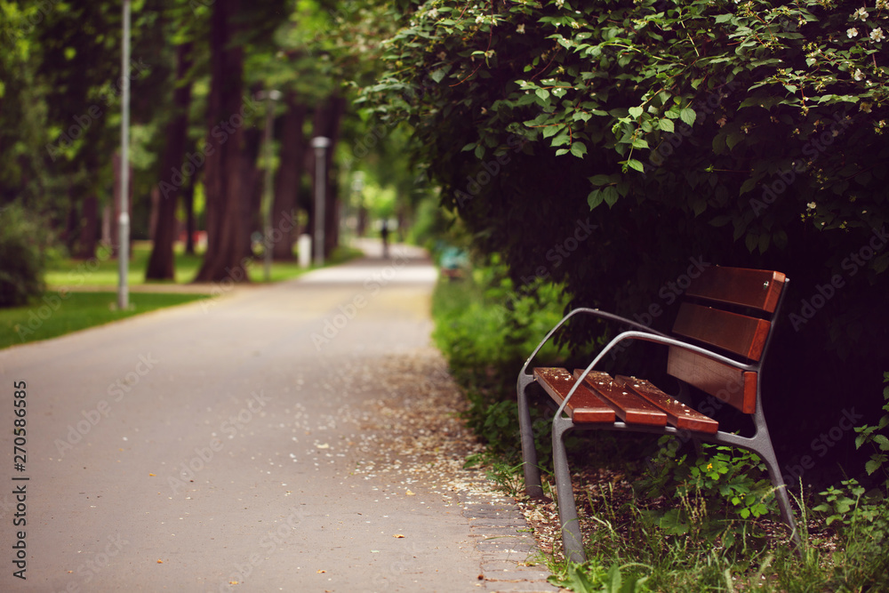 A brown bench with black iron handrails stands in the park. soft background