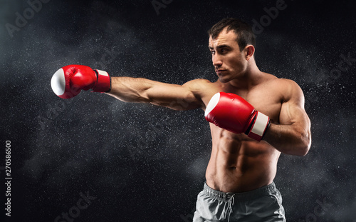 Young attractive man boxer is ready to deal © Prostock-studio