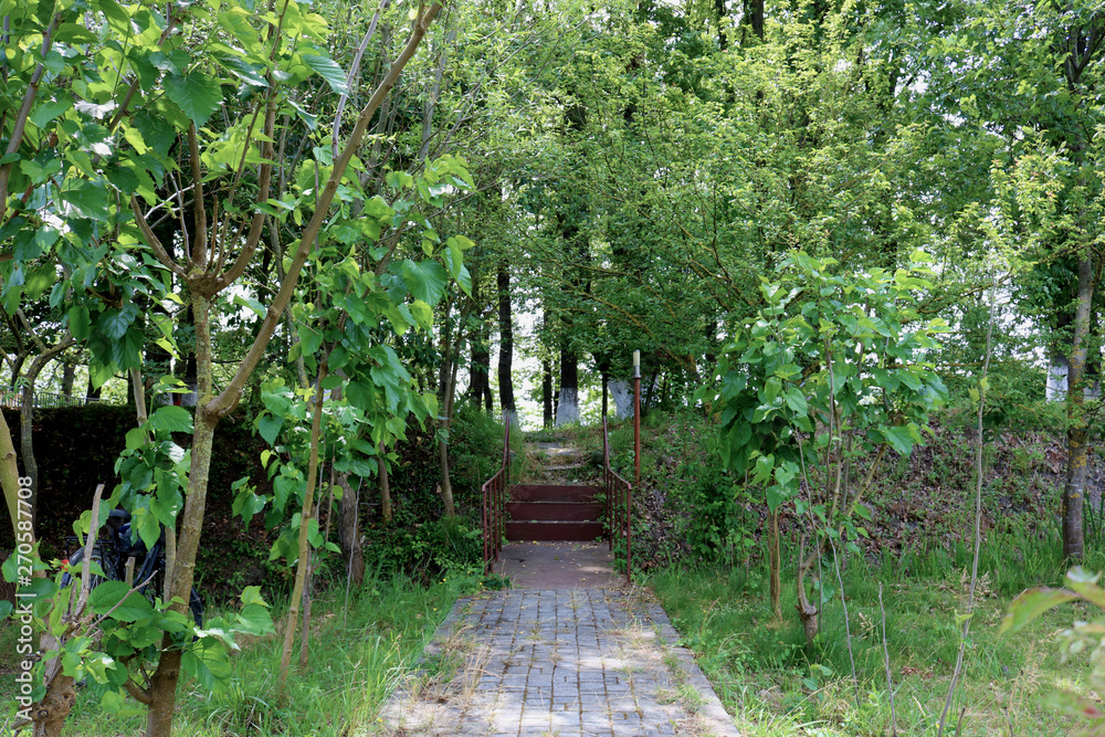 The Stone block walk path in the park with green grass background. Garden path and small staircase The Stone block walk path in the park with green grass background. Garden path and small staircase