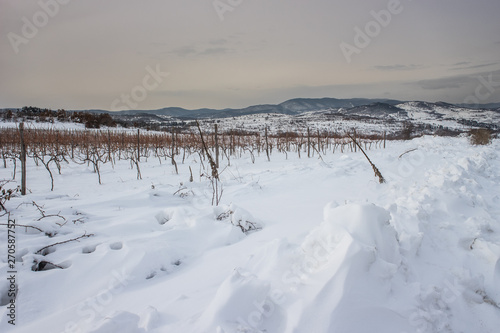  Snowy countryside