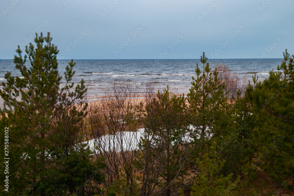 North beach with snow and wild forest on overcast cloudly sky and sea background