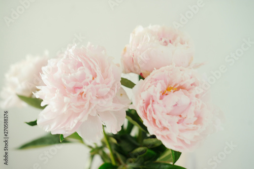 Bouquet of pink peony