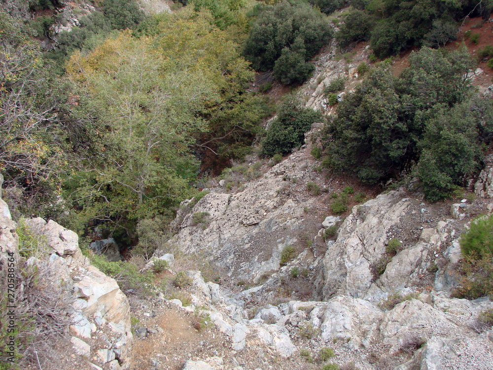 The view from the top of the rock to the canyon near the cliff is covered with forest trees.