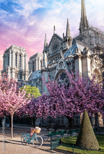 Notre Dame de Paris in spring with cherry blossom trees and vintage bike at sunrise. One week before the destructive fire on the 15.04.2019. Paris, France.
