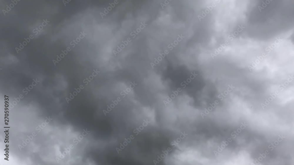 台風 台風