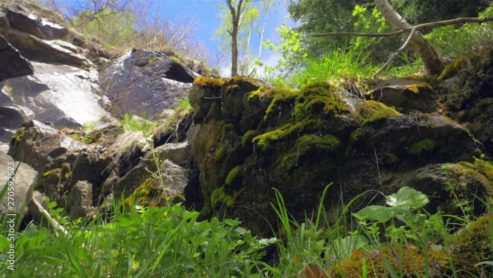 A small stream running down a mountainside in a forest. A small stream running down a mountainside in a forest.